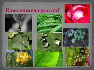природни појави 1 | PPT