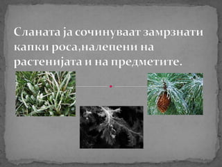 природни појави 1 | PPT