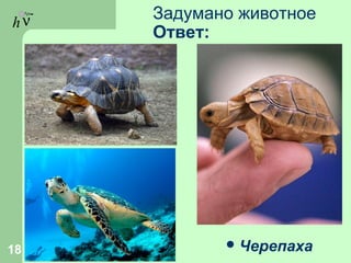 hν Задумано животное
Ответ:
Черепаха18
 