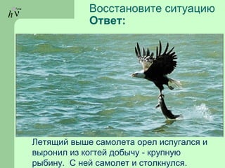 hν
Летящий выше самолета орел испугался и
выронил из когтей добычу - крупную
рыбину. С ней самолет и столкнулся.
Восстановите ситуацию
Ответ:
 