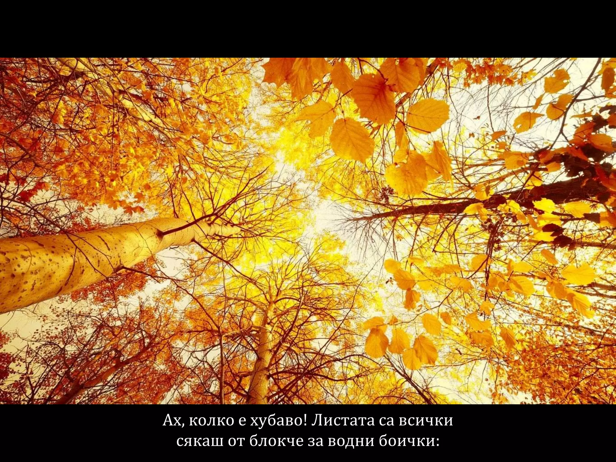 Ах, колко е хубаво! Листата са всички
сякаш от блокче за водни боички:
 