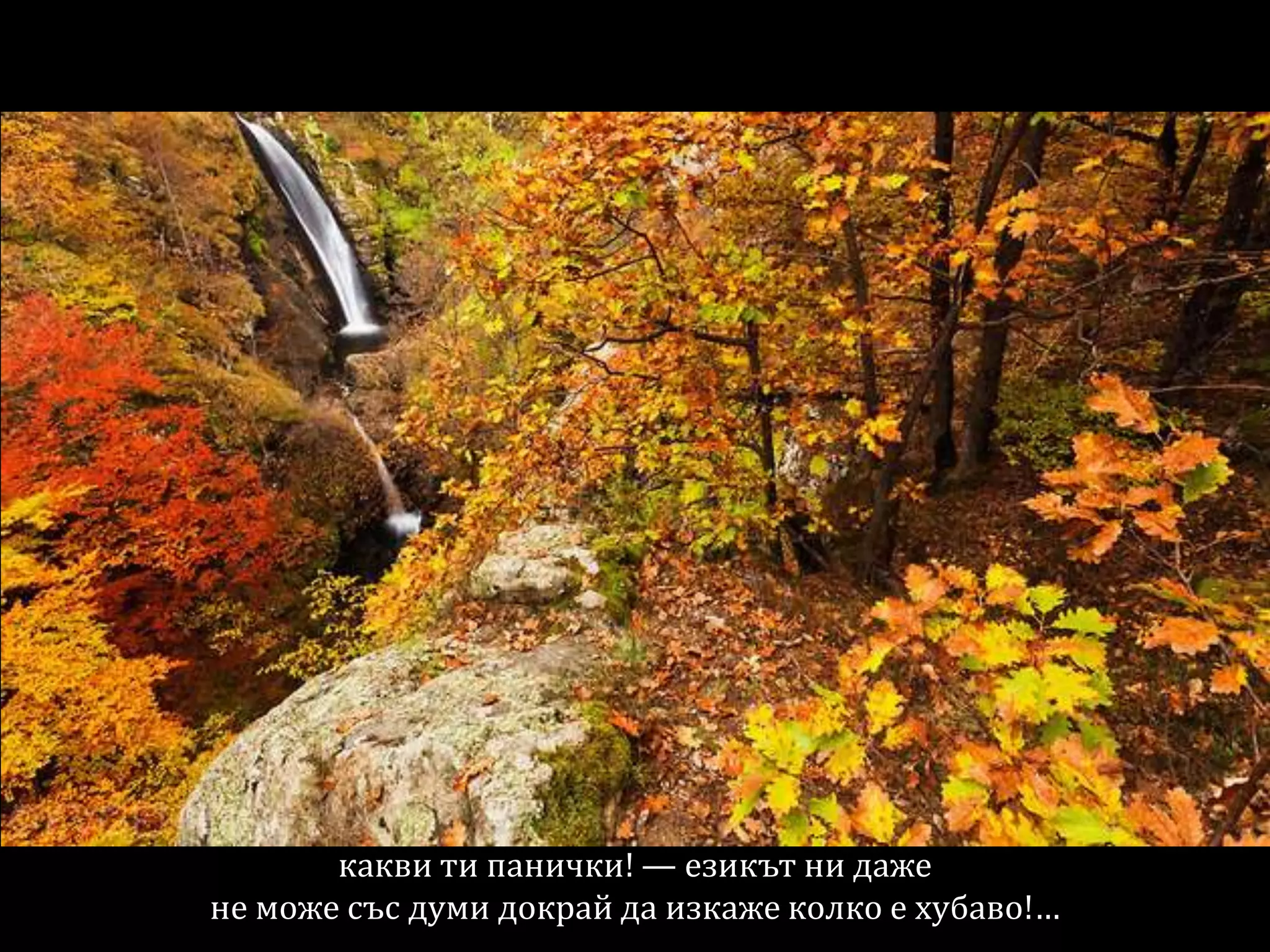 какви ти панички! — езикът ни даже
не може със думи докрай да изкаже колко е хубаво!…
 