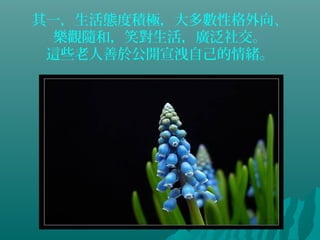 其一，生活態度積極，大多數性格外向、
樂觀隨和，笑對生活，廣泛社交。
這些老人善於公開宣洩自己的情緒。
 