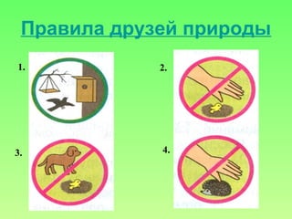 1. 2.
3. 4.
Правила друзей природы
 