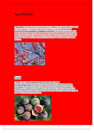 Αμυγδαλιά
Η Αμυγδαλιά είλαη είδνο θπηώλ ηεο νηθνγέλεηαο ηώλ Ρνδηδώλ πνπ πνιιέο θνξέο εληάζζεηαη
ζην γέλνο Πξνύκλε. Σν θνηλόηεξν είδνο είλαη ε Πξνύκλε ε γιπθεία (Prunus dulcis
ζυνώνυμα Prunus amygdalus, Amygdalus communis) πνπ θύεηαη ζε όιεο ζρεδόλ ηηο
ζεξκέο θαη μεξέο πεξηνρέο ηεο Παξακεζνγεηαθήο δώλεο όπνπ θαιιηεξγείηαη από ηα αξραία
ρξόληα. Γηα απηόλ ην ιόγν ν θαζνξηζκόο ηνύ ηόπνπ πξνέιεπζήο ηνπ είλαη πνιύ δύζθνινο.
Είλαη δέλδξν θπιινβόιν κε ύςνο από 4 ώο 12 κέηξα θαη θύιια ειιεηςνεηδή, ινγρνεηδή,
νδνλησηά.
΢πθηά
Η ζυκιά (επηζη. Συκή η καρική και Συκή η κοινή, Ficus carica)
είλαη δηθνηπιήδνλν θπηό πνπ αλήθεη ζην γέλνο Σσκή θαη ζηελ νηθνγέλεηα Μνξενεηδή.
Είλαη δέληξν πνιύ θνηλό ζηελ Αζία, ζηε Μέζε Αλαηνιή θαη ζηηο Μεζνγεηθέο ρώξεο. Η
θαιιηέξγεηά ηεο εηζήρζε θαη ζηελ Ακεξηθή ηνλ 18ν-19ν αηώλα. Είλαη ε σσκέη ή σσκή ησλ
αξραίσλ. Επδνθηκεί ζε πεξηνρέο κε ζεξκό θαη δξνζεξό θιίκα θαη ζε πςόκεηξα κέρξη 1700κ.
Οη θαξπνίηεο ηξώγνληαη λσπνί ή μεξνί.
 