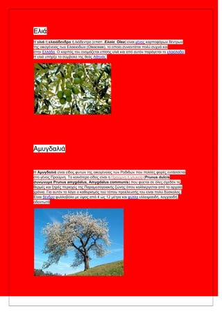 Ειηά
Η ελιά ή ελαιόδενδρο ή ιηόδεληξν (επηζη. Ελαία, Olea) είλαη γέλνο θαξπνθόξσλ δέληξσλ
ηεο νηθνγέλεηαο ησλ Ειαηνεηδώλ (Oleaceae), ην νπνίν ζπλαληάηαη πνιύ ζπρλά θαη
ζηελ Ειιάδα. Ο θαξπόο ηνπ νλνκάδεηαη επίζεο ειηά θαη από απηόλ παξάγεηαη ην ειαηόιαδν.
Η ειηά ππήξμε ην ζύκβνιν ηεο ζεάο Αζελάο.
Ακπγδαιηά
Η Αμυγδαλιά είλαη είδνο θπηώλ ηεο νηθνγέλεηαο ηώλ Ρνδηδώλ πνπ πνιιέο θνξέο εληάζζεηαη
ζην γέλνο Πξνύκλε. Σν θνηλόηεξν είδνο είλαη ε Πξνύκλε ε γιπθεία (Prunus dulcis
ζυνώνυμα Prunus amygdalus, Amygdalus communis) πνπ θύεηαη ζε όιεο ζρεδόλ ηηο
ζεξκέο θαη μεξέο πεξηνρέο ηεο Παξακεζνγεηαθήο δώλεο όπνπ θαιιηεξγείηαη από ηα αξραία
ρξόληα. Γηα απηόλ ην ιόγν ν θαζνξηζκόο ηνύ ηόπνπ πξνέιεπζήο ηνπ είλαη πνιύ δύζθνινο.
Είλαη δέλδξν θπιινβόιν κε ύςνο από 4 ώο 12 κέηξα θαη θύιια ειιεηςνεηδή, ινγρνεηδή,
νδνλησηά
 