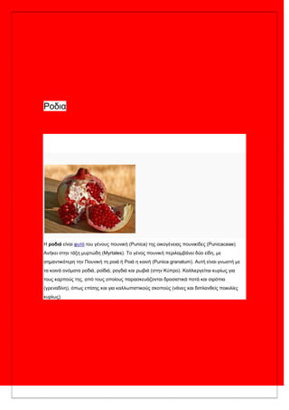 Ρνδηα
Η ροδιά είλαη θπηό ηνπ γέλνπο πνπληθή (Punica) ηεο νηθνγέλεηαο πνπληθίδεο (Punicaceae).
Αλήθεη ζηελ ηάμε κπξηώδε (Myrtales). Σν γέλνο πνπληθή πεξηιακβάλεη δύν είδε, κε
ζεκαληηθόηεξε ηελ Πνπληθή ηε ξνηά ή Ρνηά ε θνηλή (Punica granatum). Απηή είλαη γλσζηή κε
ηα θνηλά νλόκαηα ξνδηά, ξντδηά, ξνγδηά θαη ξσβηά (ζηελ Κύπξν). Καιιηεξγείηαη θπξίσο γηα
ηνπο θαξπνύο ηεο, από ηνπο νπνίνπο παξαζθεπάδνληαη δξνζηζηηθά πνηά θαη ζηξόπηα
(γξελαδίλε), όπσο επίζεο θαη γηα θαιισπηζηηθνύο ζθνπνύο (λάλεο θαη δηπιαλζείο πνηθηιίεο
θπξίσο).
 