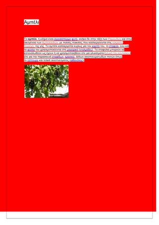 Ακπέιη
Σν αμπέλι, ή κλήμα είλαη αγγεηόζπεξκν θπηό, αλήθεη δε ζηελ ηάμε ησλ Ρακλσδώλ θαη ζηελ
νηθνγέλεηα ησλ Ακπεινεηδώλ, κε πνιιέο πνηθηιίεο πνπ θαιιηεξγνύληαη ζηηο εύθξαηεο
πεξηνρέο ηεο γεο. Σν ακπέιη θαιιηεξγείηαη θπξίσο γηα ηνλ θαξπό ηνπ, ην ζηαθύιη, ελώ θαη
ηα θύιια ηνπ ρξεζηκνπνηνύληαη ζηε καγεηξηθή (ληνικάδεο). Σα ζηαθύιηα κπνξνύλ λα
θαηαλαισζνύλ σο έρνπλ ή λα ρξεζηκνπνηεζνύλ είηε γηα γιπθίζκαηα (γιπθό ηνπ θνπηαιηνύ)
είηε γηα ηελ παξαζθεπή ζηαθίδσλ, θξαζηνύ, άιισλ νηλνπλεπκαησδώλ πνηώλ όπσο
ην ηζίπνπξν θαη ηειηθά νηλνπλεύκαηνο (αηζαλόιεο).
 