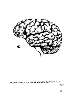 العقل واستخدام طاقته القصوي