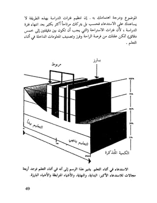 العقل واستخدام طاقته القصوي