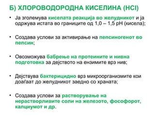 Б) ХЛОРОВОДОРОДНА КИСЕЛИНА (HCl)
• Ја зголемува киселата реакција во желудникот и ја
одржува истата во границите од 1,0 – 1,5 рН (кисела);
• Создава услови за активирање на пепсиногенот во
пепсин;
• Овозможува бабрење на протеините и нивна
подготовка за дејството на ензимите врз нив;
• Дејствува бактерицидно врз микроорганизмите кои
доаѓаат до желудникот заедно со храната;
• Создава услови за растворување на
нерастворливите соли на железото, фософорот,
калциумот и др.
 