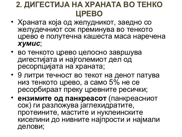 градба и функција на желудник, тенко и дебело црево