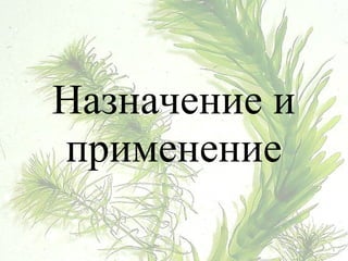 Назначение и
применение
 