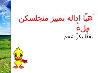 ‫با اداله تمييز تمنجلسكن‬ً‫ا‬ ‫ ٍءَه‬
‫ء‬ُ  ‫تمءل‬ِ‫ل‬
‫شمح م‬َ‫ ٍء‬  ‫ر‬ٌ  ‫بك‬َ‫ ٍء‬  ‫ا‬َ‫ ٍء‬ ‫بق‬َّ  ‫تف‬
 
 