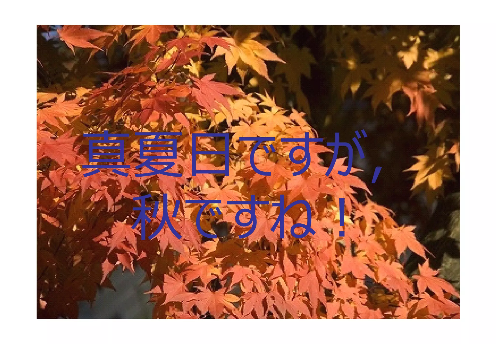 真夏⽇ですが，
秋ですね！
3

 