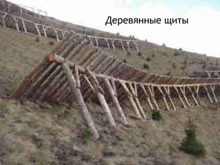 Металлические щиты

 