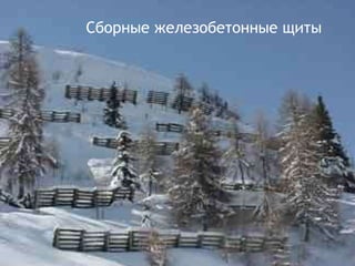 Деревянные щиты

 