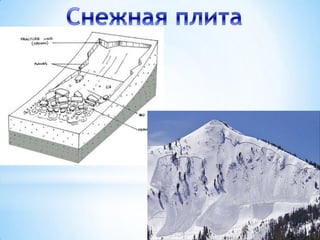 Устойчивость снежного
покрова нарушается,
в результате
выпадения большого
количества осадков

 