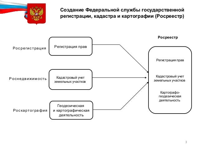 Государственная земельно кадастровая служба. Понятие государственного земельного кадастра. Структура землеустроительных органов. Кадастровый надзор что это. Контроль за использованием земель.