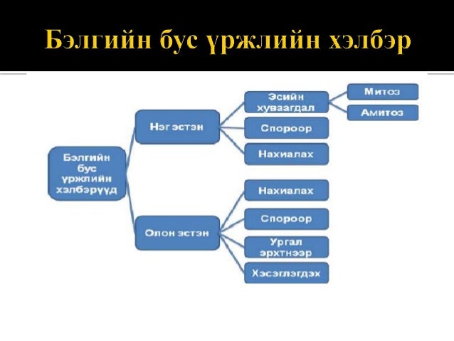 амьд биеийн үржлийн хэлбэр