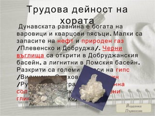Дунавска равнина | PPT