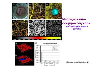 Исследование
сосудов опухоли
лаборатория Алекса
Виткина

L.Conroy et al., Opt Lett, 37 (2012)

 