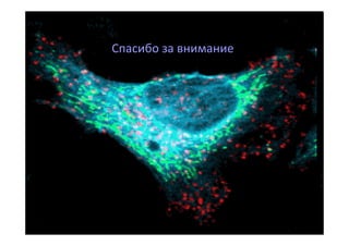 Спасибо за внимание

 