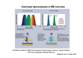 Световая фильтрация в NBI системе

Из белого света в NBI используются две узкие полосы: синяя полоса
415 нм и зеленая полоса 540 нм.
Haidry R. et al., In-Tech, 2013

 