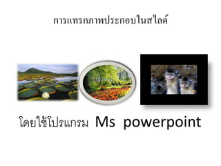 การแทรกภาพประกอบในสไลด์

โดยใช้ โปรแกรม Ms powerpoint

 