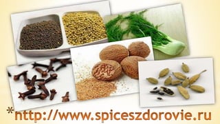 специи  и  пряности
