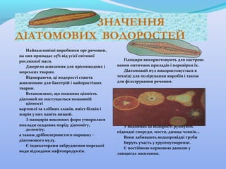 ЗНАЧЕННЯ
ДІАТОМОВИХ ВОДОРОСТЕЙ
- Найважливіші виробники орг.речовин,
на них припадає 25% від усієї світової
рослинної маси.
- Джерело живлення для прісноводних і
морських тварин.
- Відмираючи, ці водорості стають
живленням для бактерій і найпростіших
тварин.
- Встановлено, що поживна цінність
діатомей не поступається поживній
цінності
картоплі та хлібних злаків, вміст білків і
жирів у них навіть вищий.
- З панцирів викопних форм утворилися
поклади осадових порід: діатоміту,
доломіту,
а також дрібнозернистого порошку –
діатомового мулу.
- Є індикаторами забруднення морської
води відходами нафтопродуктів.

- Панцири використовують для настроювання оптичних приладів і перевірки їх.
- Діатомовий мул використовується в
техніці для полірування виробів і також
для фільтрування речовин.

- У водоймах ці водорості руйнують
підводні споруди, мости, днища човнів...
- Вони забивають водопровідні труби
- Беруть участь у грунтоутворенні.
- Є постійною кормовою данкою у
ланцюгах живлення.

 