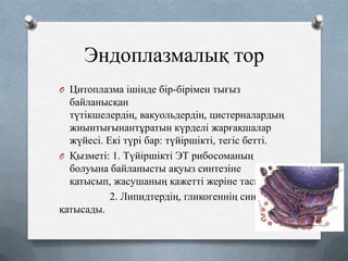 Эндоплазмалық тор
O Цитоплазма ішінде бір-бірімен тығыз

байланысқан
түтікшелердің, вакуольдердің, цистерналардың
жиынтығынантұратын күрделі жарғақшалар
жүйесі. Екі түрі бар: түйіршікті, тегіс бетті.
O Қызметі: 1. Түйіршікті ЭТ рибосоманың
болуына байланысты ақуыз синтезіне
қатысып, жасушаның қажетті жеріне тасиды.
2. Липидтердің, гликогеннің синтезіне
қатысады.

 