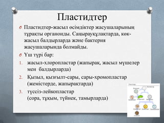 Пластидтер
O Пластидтер-жасыл өсімдіктер жасушаларының

тұрақты органоиды. Саңырауқұлақтарда, көкжасыл балдырларда және бактерия
жасушаларында болмайды.
O Үш түрі бар:
1. жасыл-хлоропластар (жапырақ, жасыл мүшелер
мен балдырларда)
2. Қызыл, қызғылт-сары, сары-хромопластар
(жемістерде, жапырақтарда)
3. түссіз-лейкопластар
(сора, тұқым, түйнек, тамырларда)

 