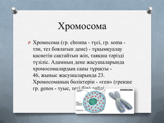 Хромосома
O Хромосома (гр. chroma - түсі, гр. soma -

тән, тез боялатын дене) - тұқымқуалау
қасиетін сақтайтын жіп, таяқша тәрізді
түзіліс. Адамның дене жасушаларында
хромосомалардың саны тұрақты 46, жыныс жасушаларында 23.
Хромосоманың бөліктерін - «ген» (грекше
гр. genos - туыс, тегі бір) дейді.

 