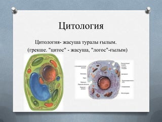 Цитология
Цитология- жасуша туралы ғылым.
(грекше. "цитос" - жасуша, "логос"-ғылым)

 