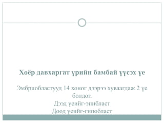 Хоёр давхаргат үрийн бамбай үүсэх үе
Эмбриобластууд 14 хоног дээрээ хуваагдаж 2 үе
болдог.
Дээд үеийг-эпибласт
Доод үеийг-гипобласт

 