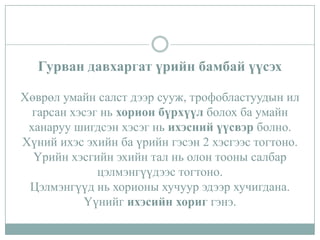 Гурван давхаргат үрийн бамбай үүсэх
Хөврөл умайн салст дээр сууж, трофобластуудын ил
гарсан хэсэг нь хорион бүрхүүл болох ба умайн
ханаруу шигдсэн хэсэг нь ихэсний үүсвэр болно.
Хүний ихэс эхийн ба үрийн гэсэн 2 хэсгээс тогтоно.
Үрийн хэсгийн эхийн тал нь олон тооны салбар
цэлмэнгүүдээс тогтоно.
Цэлмэнгүүд нь хорионы хучуур эдээр хучигдана.
Үүнийг ихэсийн хориг гэнэ.

 