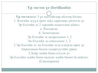 Үр тогтох үе (fertilizatio)
Үр тогтолтыг 3 үе шаттайгаар ойлгож болно.
1. Бэлгийн эсүүд орон зайд харилцан үйлчлэх үе
Эр бэлгийн эс 2 төрлийн хөдөлгөөн хйинэ.
а. Реотаксис
б. Хемотаксис
Эр бэлгийн эс-андрогамон 1, 2
Эм бэлгийн эс-гиногамон 1, 2
2.Эр бэлгийн эс эм бэлгийн эсэд нэвтрэн орох үе
Акросомын болон гадаргуугийн урвал
3.Хоёр эсийн бөөм нэгдэх үе
Эр бэлгийн эсийн бөөм өндгөн эсийн бөөмтэй нийлнэ.
(Синокарион)

 