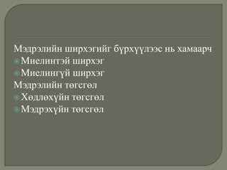 Мэдрэлийн ширхэгийг бүрхүүлээс нь хамаарч
 Миелинтэй ширхэг
 Миелингүй ширхэг
Мэдрэлийн төгсгөл
 Хөдлөхүйн төгсгөл
 Мэдрэхүйн төгсгөл

 
