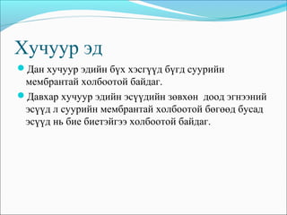 ерөнхий эд судлал