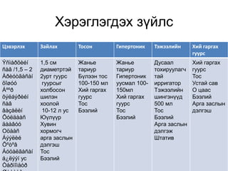 бургуйдалт | PPT