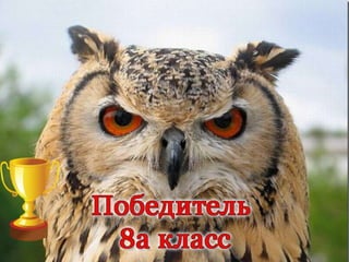 что где когда