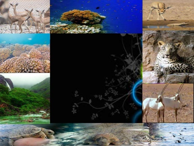 المحميات الطبيعية بسلطنة عمان