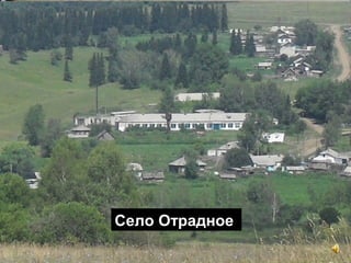 Село Отрадное

 