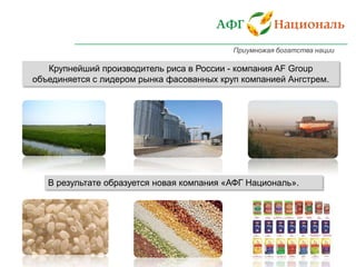 Приумножая богатства нации

Крупнейший производитель риса в России - компания AF Group
объединяется с лидером рынка фасованных круп компанией Ангстрем.

В результате образуется новая компания «АФГ Националь».

 
