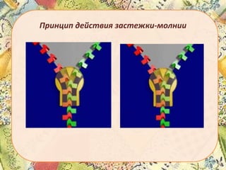 Принцип действия застежки-молнии

 