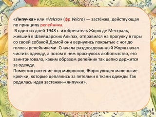 «Липучка» или «Velcro» (фр.Velcro) — застёжка, действующая
по принципу репейника.
В один из дней 1948 г. изобретатель Жорж де Местраль,
живший в Швейцарских Альпах, отправился на прогулку в горы
со своей собакой.Домой они вернулись покрытые с ног до
головы репейниками. Сначала раздосадованный Жорж начал
чистить одежду, а потом в нем проснулось любопытство, его
заинтриговало, каким образом репейник так цепко держится
за одежду.
Поместив растение под микроскоп, Жорж увидел маленькие
крючки, которые цеплялись за петельки в ткани одежды.Так
родилась идея застежки-«липучки».

 