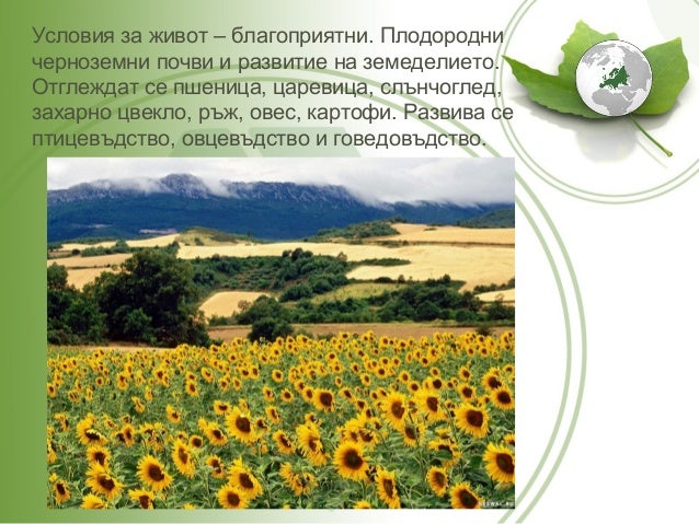 Природни зони в Европа