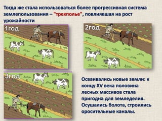 Тогда же стала использоваться более прогрессивная система
землепользования – "трехполье", повлиявшая на рост
урожайности

Осваивались новые земли: к
концу XV века половина
лесных массивов стала
пригодна для земледелия.
Осушались болота, строились
оросительные каналы.

 