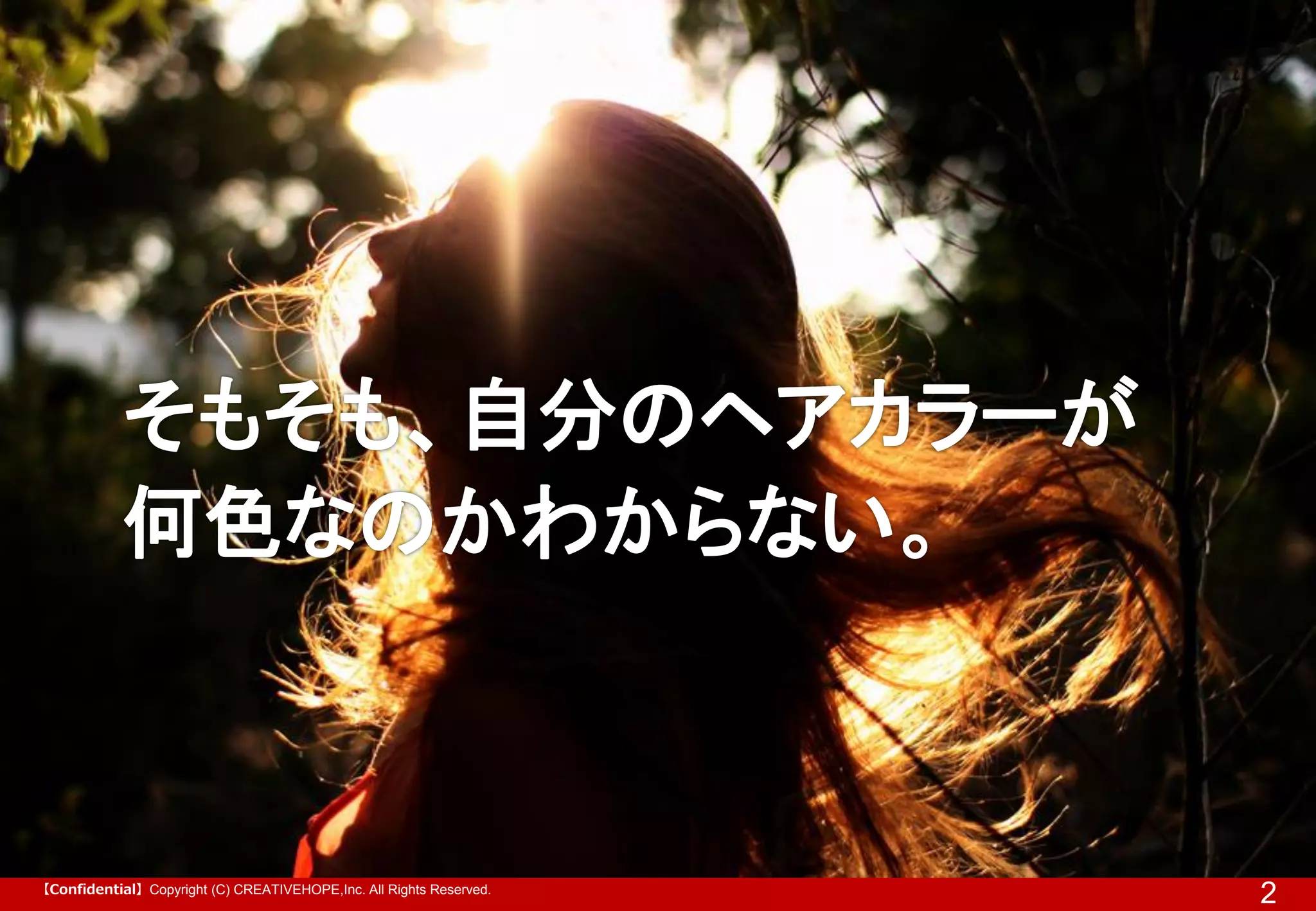 【Confidential】Copyright (C) CREATIVEHOPE,Inc. All Rights Reserved.

2

 